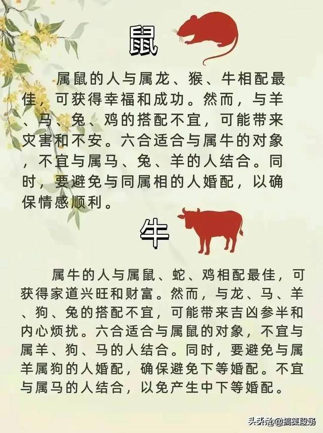 叹为观止打一最佳生肖，详细解答、时代解答解释落实